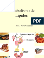 Metabolismo de Lipidos