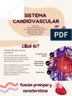 Sistema Cardiovascular