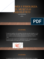 Anatomía y Fisiología Del Musculo Esquelético