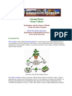 Cloning Plants