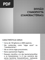 Cianobacterias