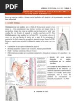 C1 - Etiopatogenia y Clasificaciã N Periodontal - 15.05 - Dr. Segovia