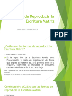 2023 A Formas de Reprodukcir La ESCRITURA MATRIZ