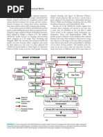 Conscious MIND Resonant BRAIN: View-To - Object Binding Problem. This Problem Arises Be