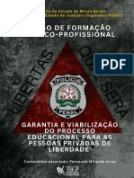 Garantia e Viabilização Do Processo Educacional para As Pessoas Provadas de Liberdade