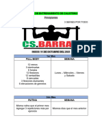 6 Meses de Entrenamiento de Calistenia