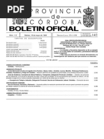 Boletin Oficial