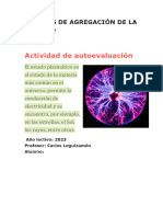 Actividad de Autoevaluación N°1