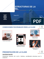 Clase N°3 Estructuras de La Piel