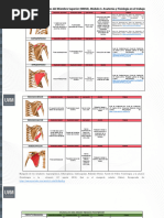 Resumen Músculos MMSS