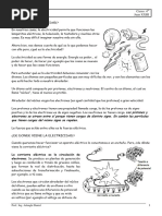 Circuitos Electricos 1