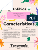 Expo Anfibios