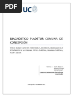 DIAGNOSTICO PLADETUR COMUNA DE CONCEPCIONIII (Reparado)