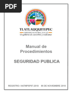 Seguridad Pública