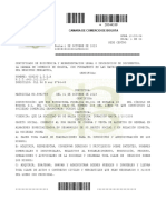 Certificado de Constitución y Gerencia Ochisu