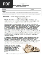 Texto Informativo El Gato Domestico