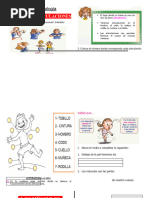 Músculos y Articualciones