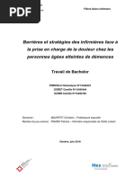 Barrières Et Stratégies Des Infirmières Face À La Prise en Charge de La Douleur Chez Les Personnes Âgées Atteintes de Démences