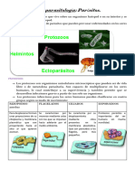 Microbiología y Parasitología Parásitos