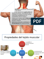 Fisiología Muscular