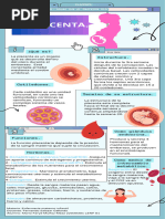 Infografia Sobre La Placenta.