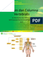 Cranium Dan Columna Vertebralis