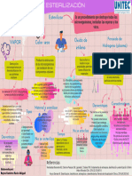 Mapa Conceptual - Metodos de Esterilizacion