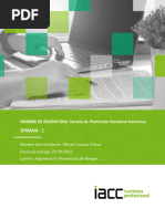 Plantilla - Evaluacion - Desarrollo (52) Sistemas de Proteccion Seguridad Industrial Control 1 Miriam Susana Ochoa