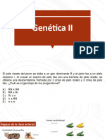 Genética II