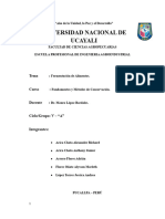 Trabajo de Investigacion - Fermentacion de Alimentos