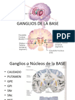 Ganglios de La Base