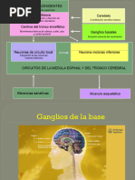 Teorico Ganglios de La Base 2018-1