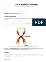 Alterações Cromossômicas Estruturais - Biologia Net