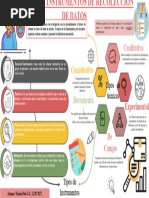 Infografia Tecnicas e Instrumentos de Recoleccion de Datos. Yanine Peña