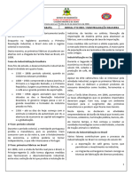 Industrialização Brasileira (Texto)