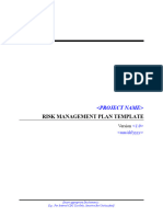 Risk Management Plan Template