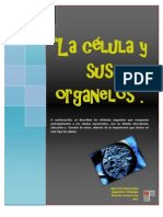 Células y Orgánulos