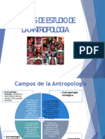 Semana 02 Antropologia