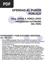 Ofensas Al Pudor Público