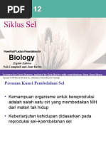 Chapter 12 The Cell Cycle