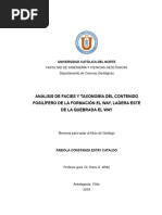 Análisis de Facies y Taxonomía Del Contenido Fosilífero FM El Way