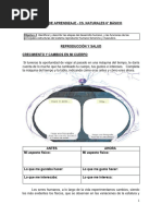 Ciencias Guía6 6to