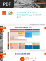 Gestion Salud y Satep