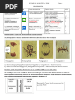 WP Contentuploadssites10420170316 17 3° Évaluation Mitose PDF