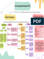 Mapa Conceptual CPS Directo e Indirecto