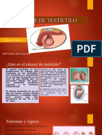 Cancer de Testiculo Diapositivas