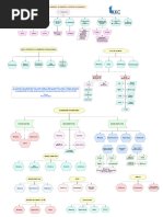 Drone Chart - EIS CH 4-CA INTER