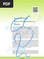 S O A C 7: Tructural Rganisation IN Nimals