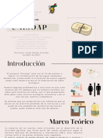 Desarrollo Proyecto