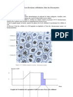 DS1 de SVT Les Divisions Cellulaires Chez Les Eucaryotes: Exercice 1: Mitose